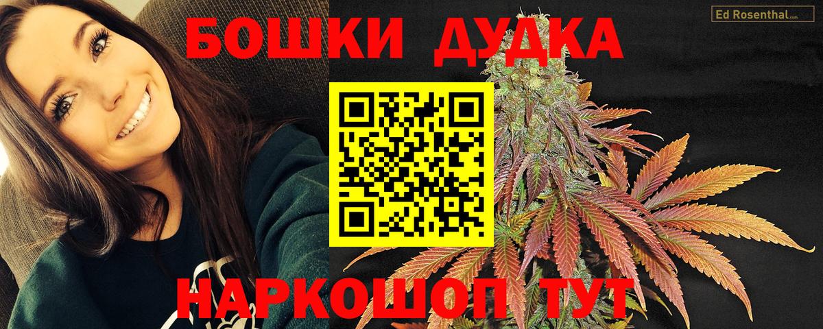 Шишки марихуана Amnesia Большой Камень